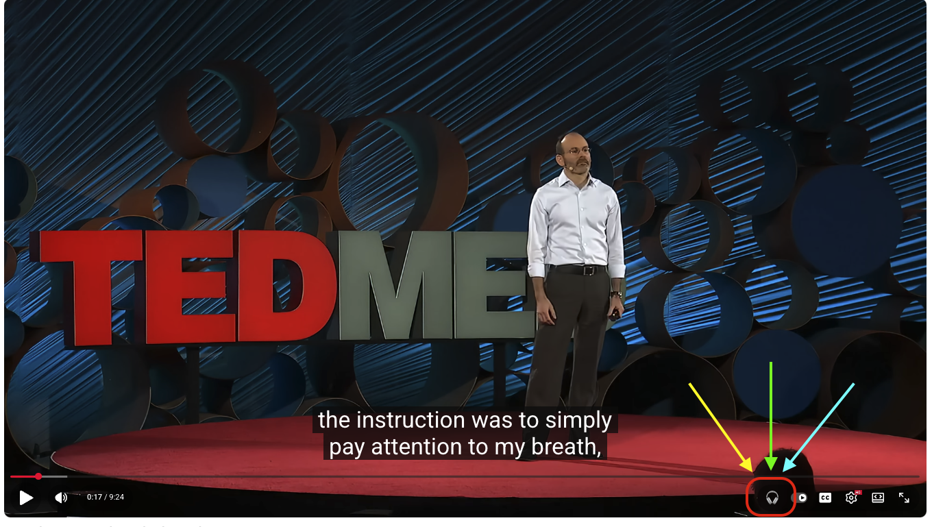 Click YouPractice Extension Icon